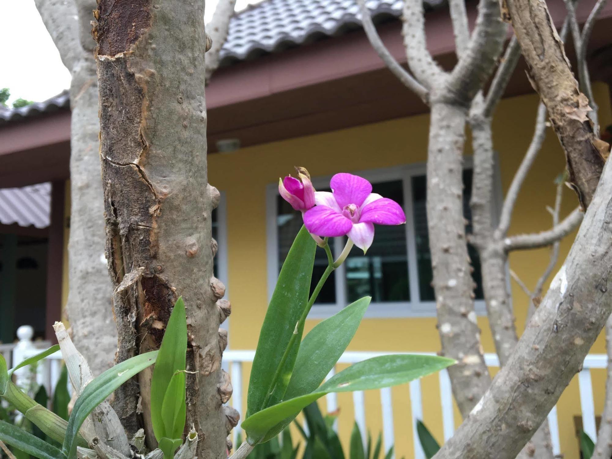Hotel Baan Penny Phra Nakhon Si Ayutthaya Esterno foto